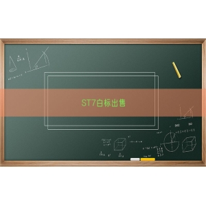 ST7白标出售
