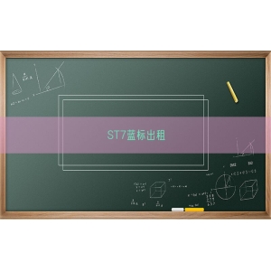 ST7蓝标出租