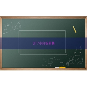 ST7小白标租售