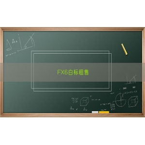 FX6白标租售