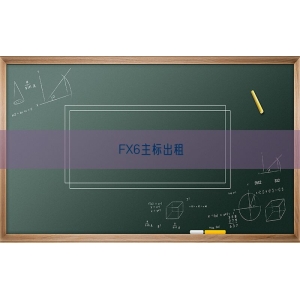 FX6主标出租
