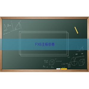 FX6主标价格