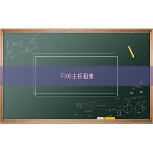 FX6主标租售