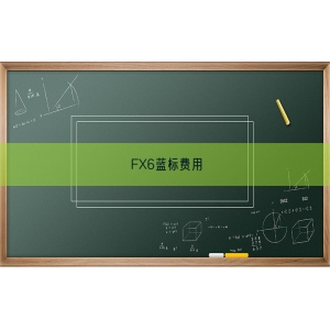 FX6蓝标费用