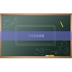 FX6灰标租售