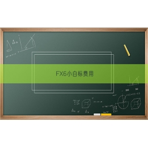 FX6小白标费用
