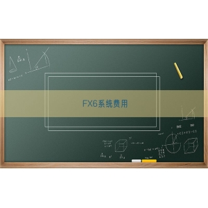 FX6系统费用