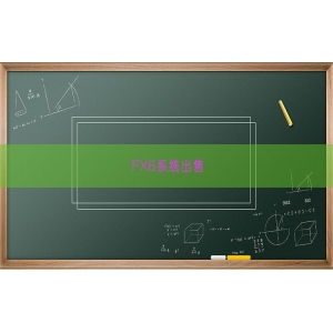 FX6系统出售
