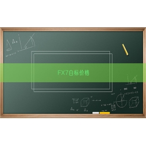 FX7白标价格