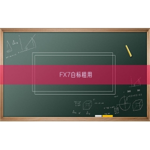 FX7白标租用