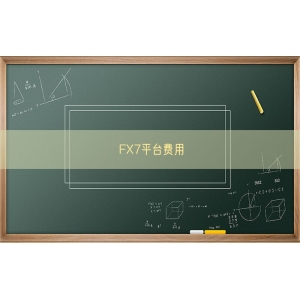 FX7平台费用