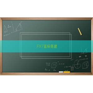 FX7蓝标搭建