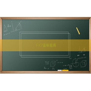 FX7蓝标租用