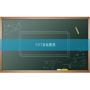 FX7灰标费用