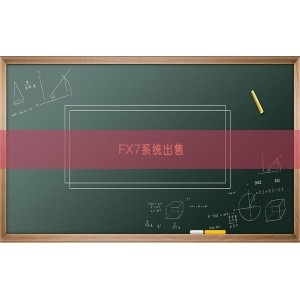 FX7系统出售