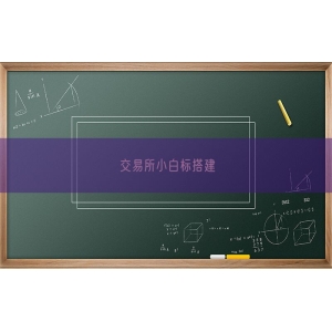 交易所小白标搭建