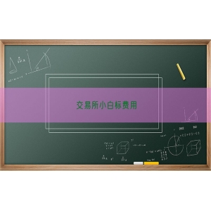 交易所小白标费用