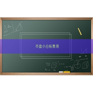 币盘小白标费用