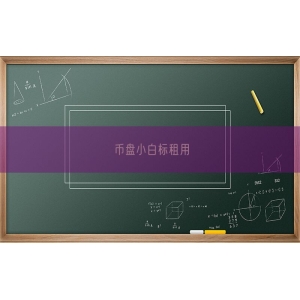 币盘小白标租用