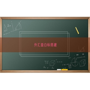 外汇盘白标搭建