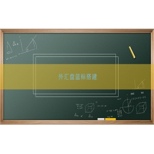 外汇盘蓝标搭建