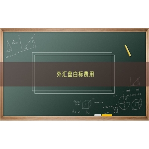 外汇盘白标费用