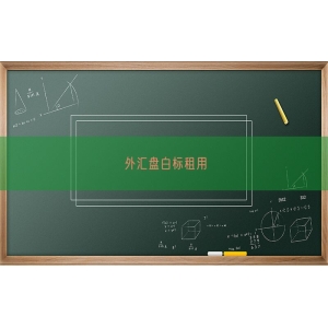 外汇盘白标租用