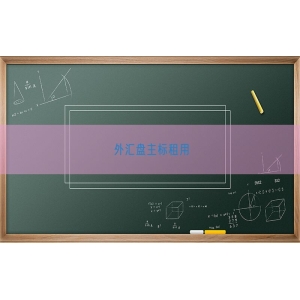 外汇盘主标租用