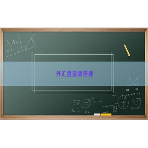 外汇盘盗版搭建