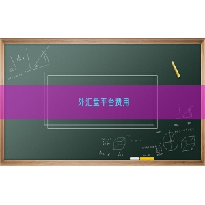 外汇盘平台费用