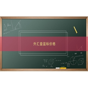 外汇盘蓝标价格