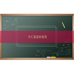 外汇盘蓝标租用