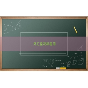 外汇盘灰标租用