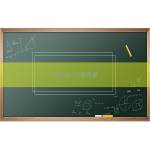 外汇盘小白标搭建