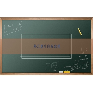 外汇盘小白标出租
