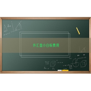 外汇盘小白标费用