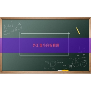 外汇盘小白标租用