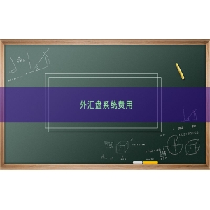 外汇盘系统费用