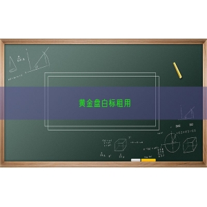 黄金盘白标租用