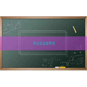黄金盘盗版费用