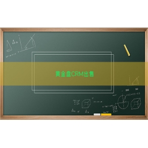 黄金盘CRM出售