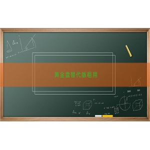 黄金盘替代版租用
