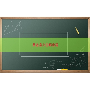 黄金盘小白标出租