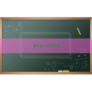 黄金盘小白标租用