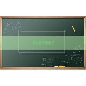黄金盘控盘出租