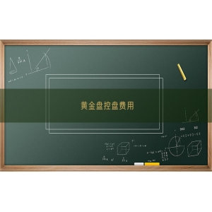 黄金盘控盘费用