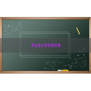 黄金盘全套搭建租售
