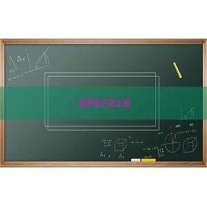 刷单盘白标出租