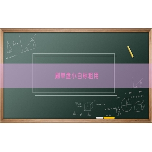 刷单盘小白标租用