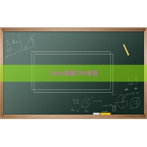 tiktok商城CRM租用